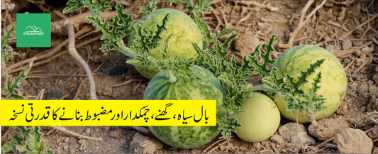 اندرائن پودے کے طبی فوائد - ChiltanPure