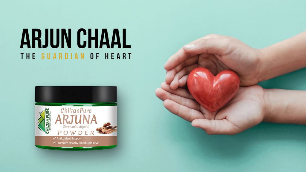 Arjun Chaal – The guardian of Heart
