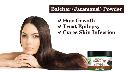 Balchar Jatamansi Powder - Promotes Hair Growth, Treats Epilepsy &amp; Cures Skin Infection - ChiltanPure