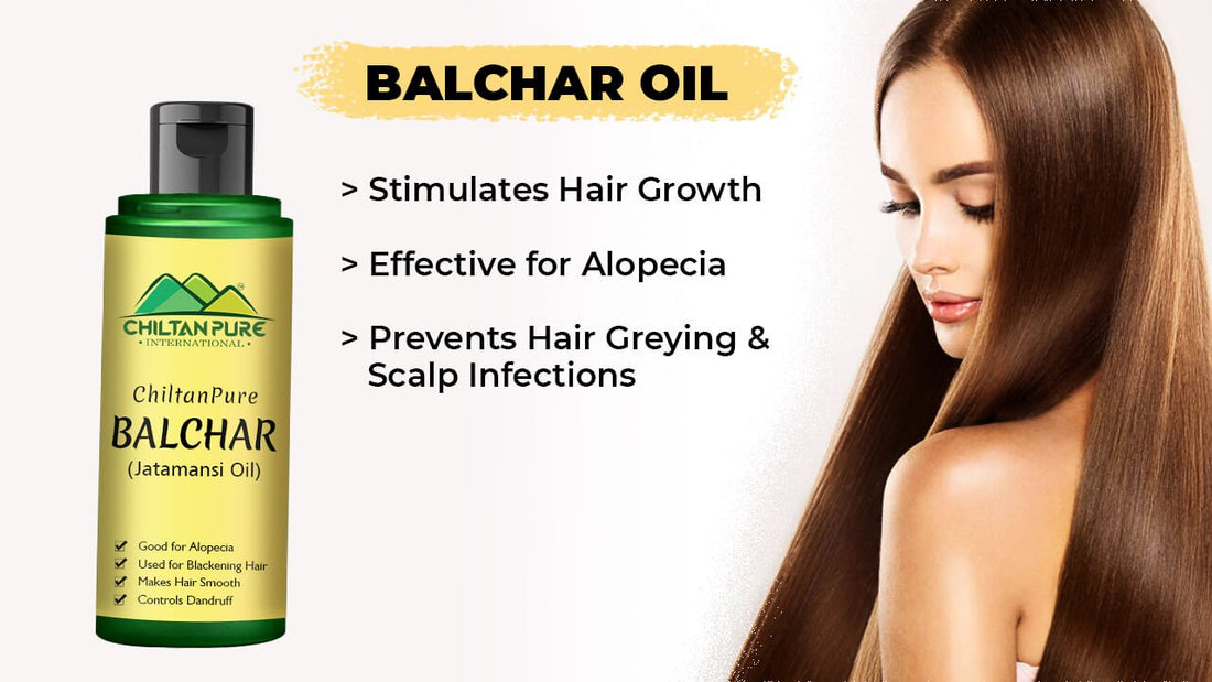 Balchar Oil - Stimulates Hair Growth, Effective for Alopecia, Prevents Hair Greying &amp; Scalp Infections - ChiltanPure