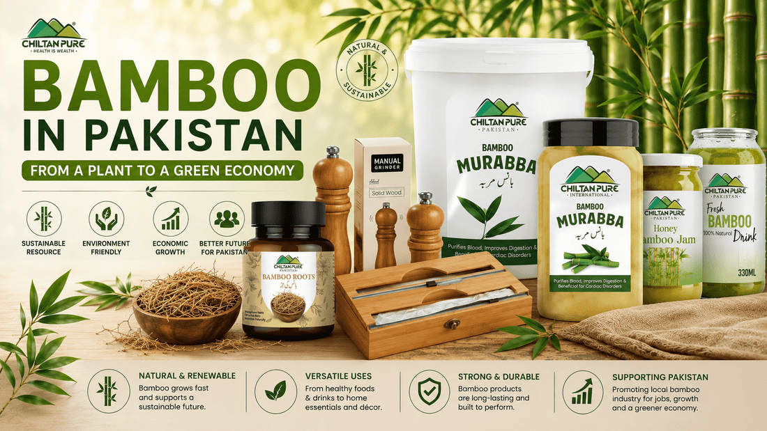 Bamboo in Pakistan: From a Plant to a Green Economy - ChiltanPure