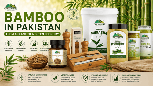 Bamboo in Pakistan: From a Plant to a Green Economy - ChiltanPure