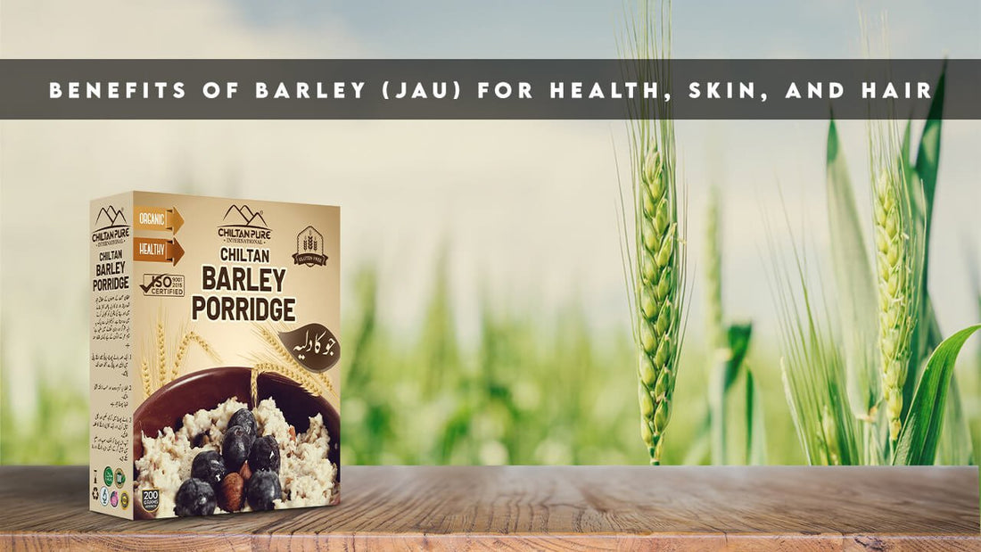 Benefits Of Barley (Jau) For Health, Skin, And Hair - ChiltanPure