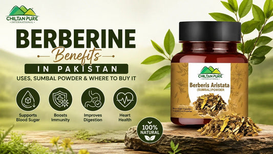 Berberine Benefits in Pakistan: Uses, Sumbal Powder & Where to Buy It - ChiltanPure
