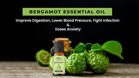 Bergamot Essential Oil - Improves Digestion, Lower Blood Pressure, Fight Infection &amp; Eases Anxiety - ChiltanPure