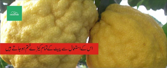 بجورا پودے کے طبی فوائد - ChiltanPure