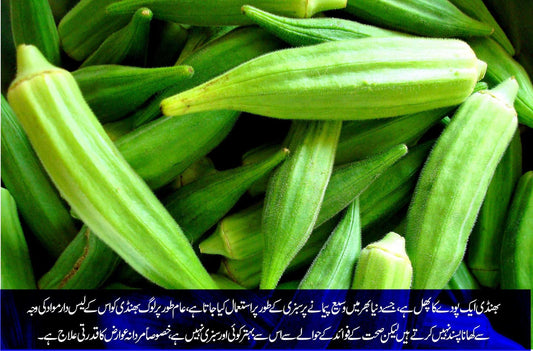 بھنڈی: مردانہ عوارض کا قدرتی علاج - ChiltanPure