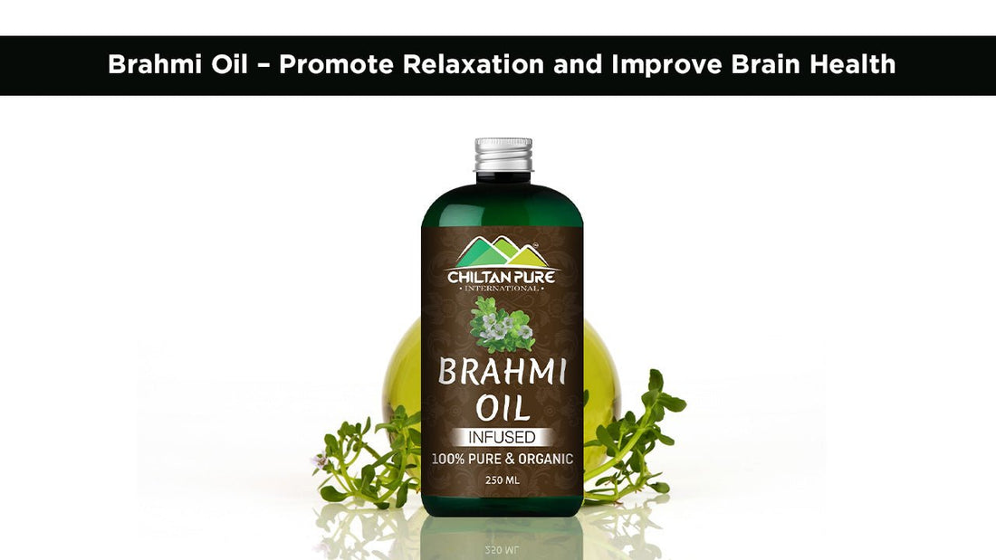 Brahmi Oil – Promote Relaxation and Improve Brain Health - ChiltanPure