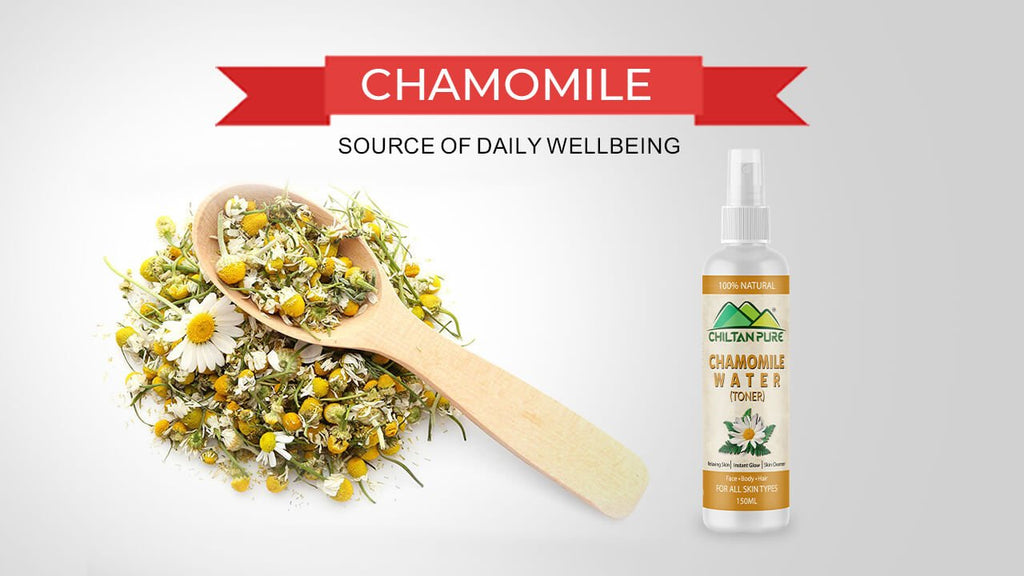 Chamomile - Source of Daily Wellbeing