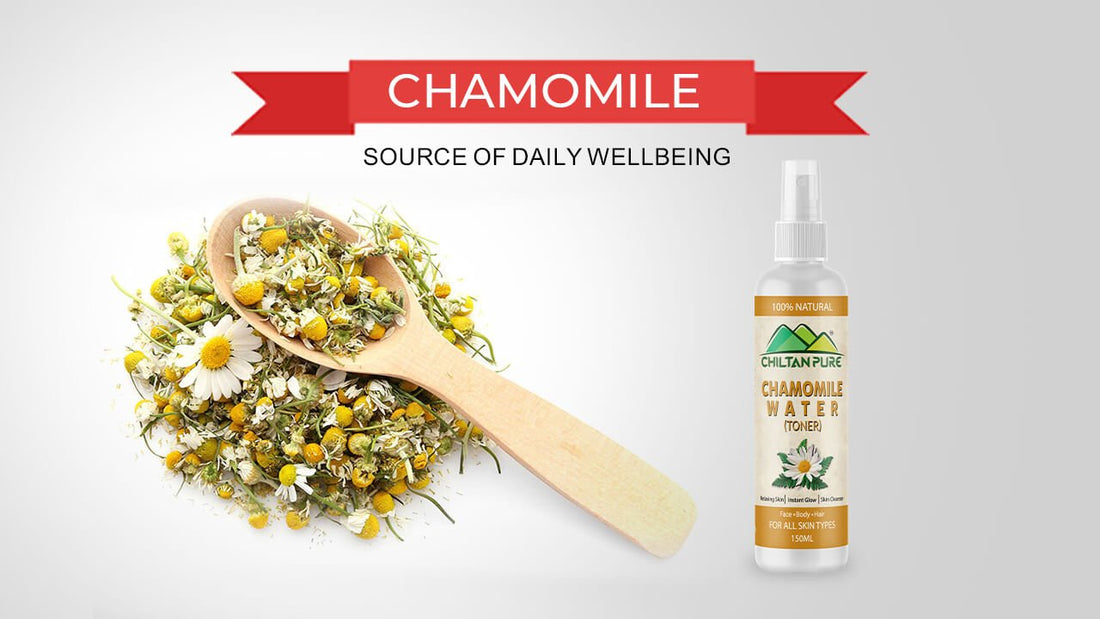 Chamomile - Source of Daily Wellbeing - ChiltanPure