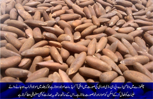 چلغوزہ، خون بنائے، طاقت بڑھائے - ChiltanPure