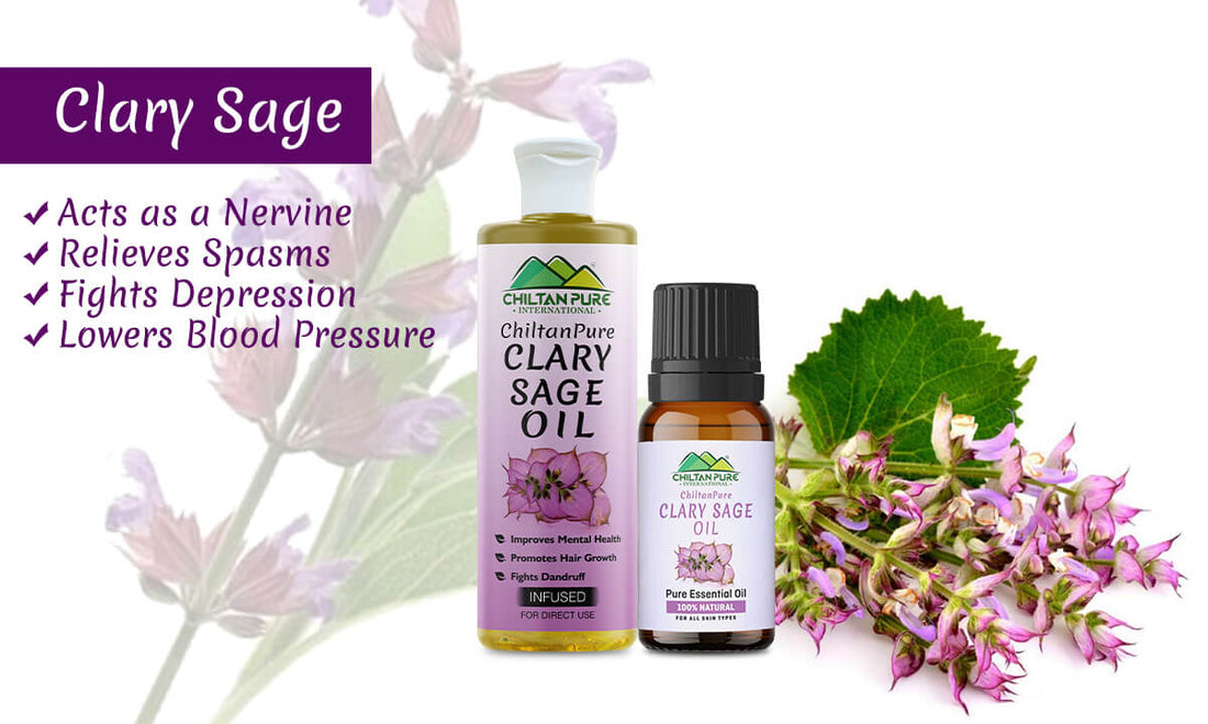 Clary Sage Oil - Acts as a Nervine, Relieves Spasms, Fights Depression &amp; Lowers Blood Pressure - ChiltanPure