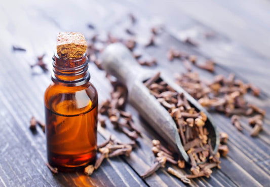 Clove Oil Benefits and Uses - ChiltanPure