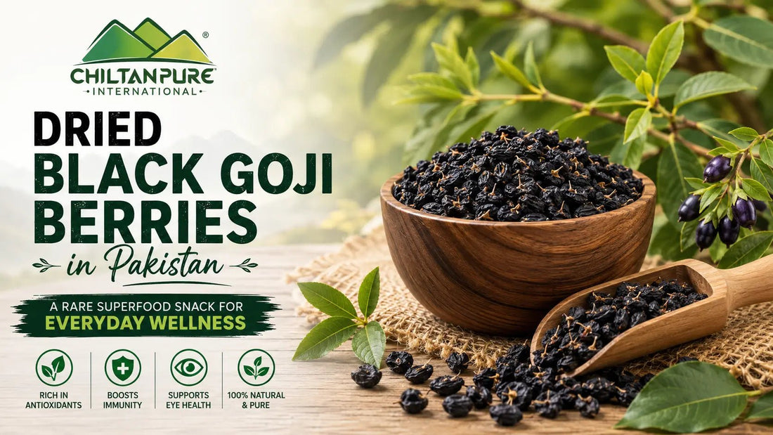 Dried Black Goji Berries in Pakistan: A Rare Superfood Snack for Everyday Wellness - ChiltanPure