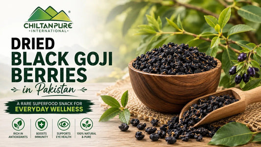 Dried Black Goji Berries in Pakistan: A Rare Superfood Snack for Everyday Wellness - ChiltanPure