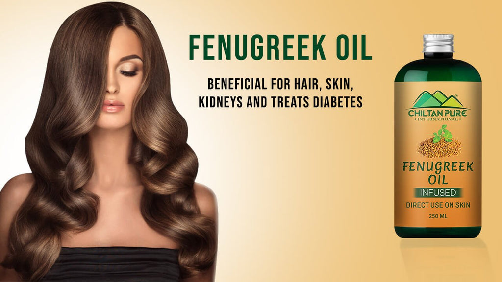 Fenugreek Oil – Beneficial for Hair, Skin, Kidneys and Treats Diabetes