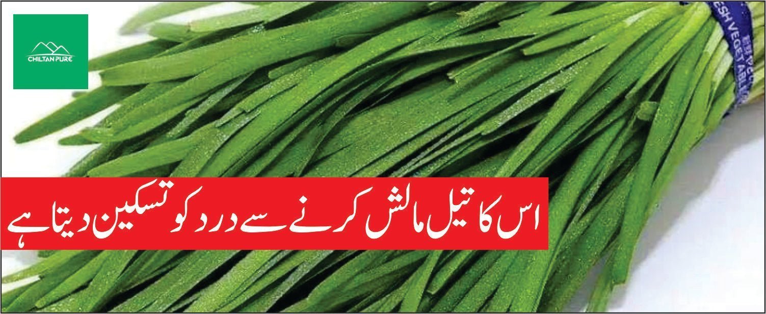 گندنا کے طبی فوائد – ChiltanPure