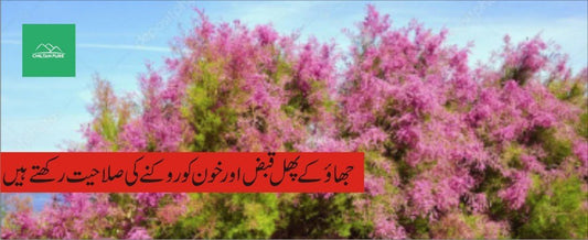 جھائو پودے کے طبی فوائد - ChiltanPure