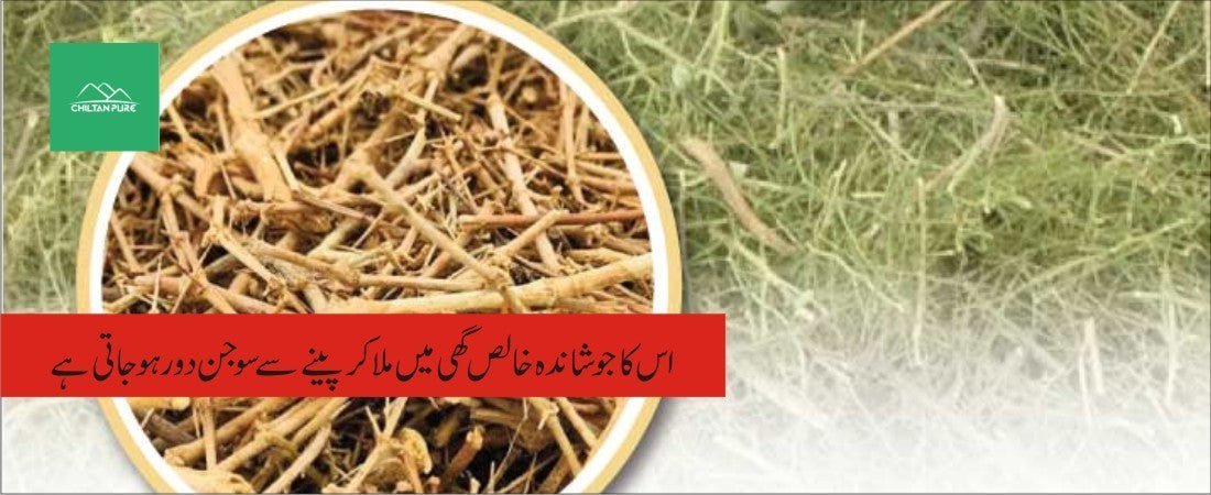 جوانسہ پودے کے طبی فوائد - ChiltanPure