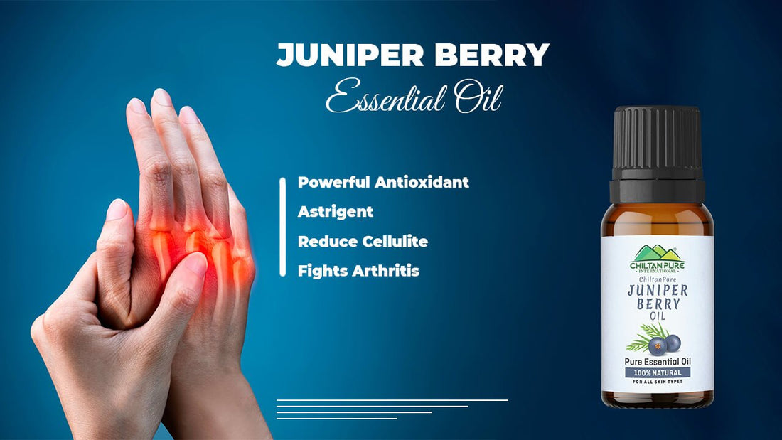 Juniper Berry Oil - Acts as Powerful Antioxidant, Astringent, Reduce Cellulite and Fights Arthritis - ChiltanPure