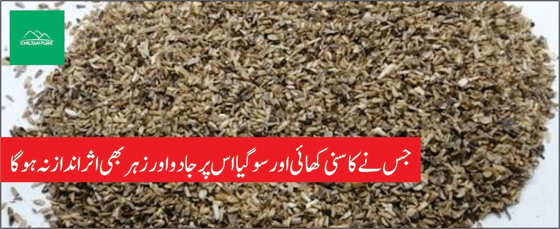 کاسنی کے طبی فوائد - ChiltanPure