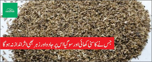 کاسنی کے طبی فوائد - ChiltanPure