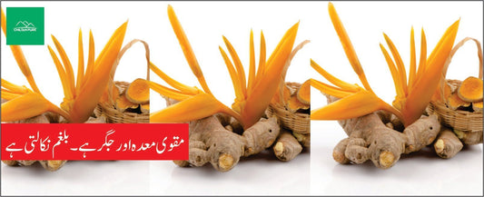 کچور کے طبی فوائد - ChiltanPure