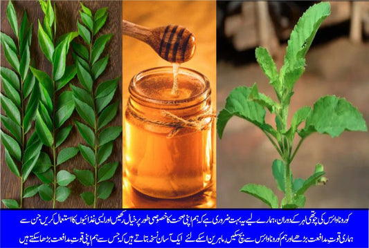 کڑی پتہ، تُلسی اور شہد سے قوتِ مدافعت بڑھائیں - ChiltanPure
