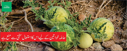 کوڑ تمہ کے طبی فوائد - ChiltanPure