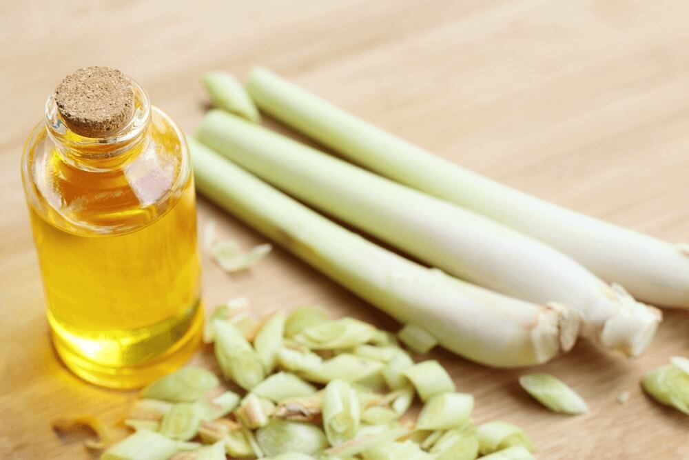 Lemongrass Oil Benefits & Uses ~ Chiltanpure - ChiltanPure