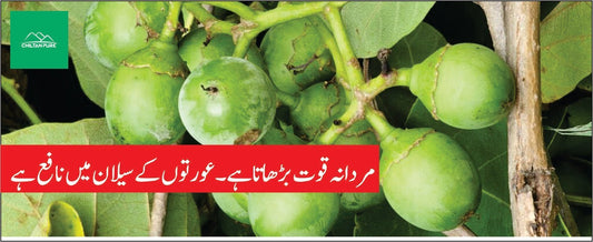 لہسوڑا کے طبی فوائد - ChiltanPure