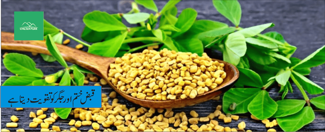 میتھی دانہ پودے کے طبی فوائد - ChiltanPure