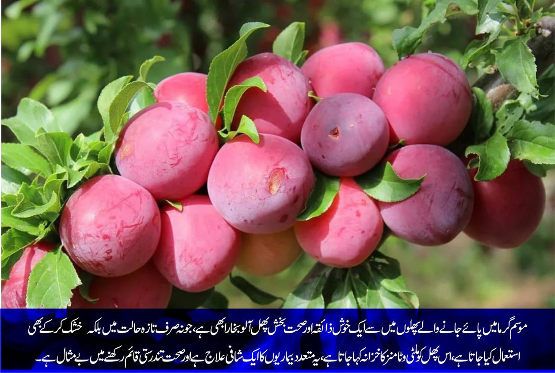 موسم گرما میں صحت کیلئے ناگزیر پھل - ChiltanPure