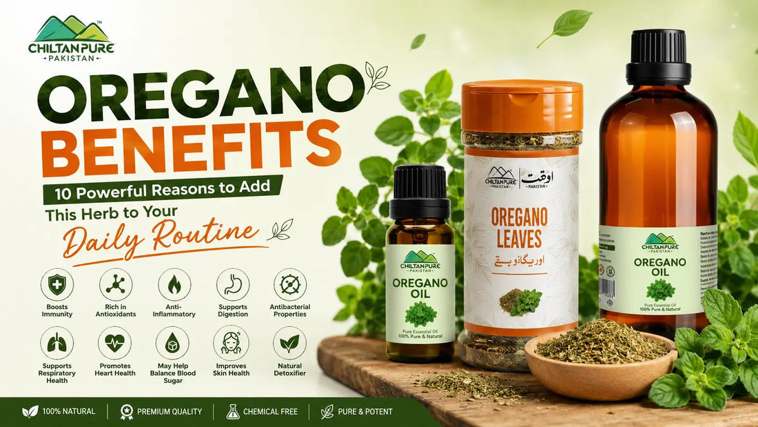 Oregano Benefits: 10 Powerful Reasons to Add This Herb to Your Daily Routine - ChiltanPure