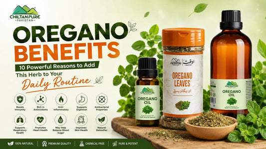Oregano Benefits: 10 Powerful Reasons to Add This Herb to Your Daily Routine - ChiltanPure