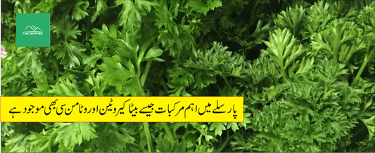 پارسلے پودے کے طبی فوائد - ChiltanPure