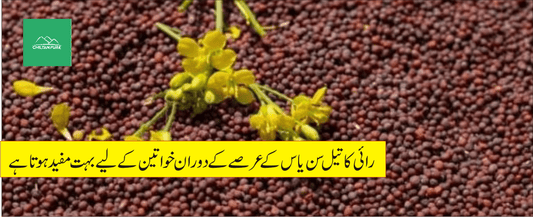 رائی کے طبی فوائد - ChiltanPure