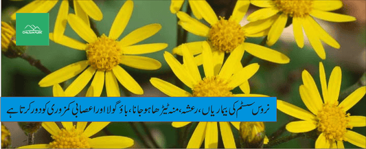 راسنا پودے کے طبی فوائد - ChiltanPure