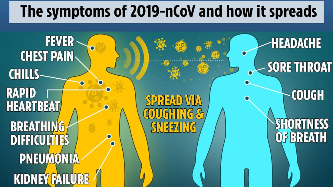 Reduce Coronavirus with High Temperature and Humidity - ChiltanPure