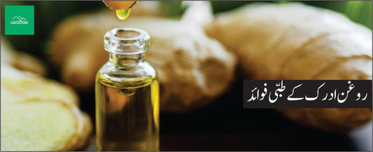 روغن ادرک کے طبی فوائد - ChiltanPure