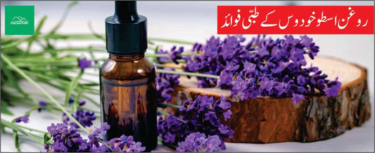 روغن اسطوخودوس کے طبی فوائد - ChiltanPure