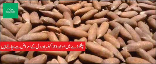 روغن چلغوزہ کے طبی فوائد - ChiltanPure