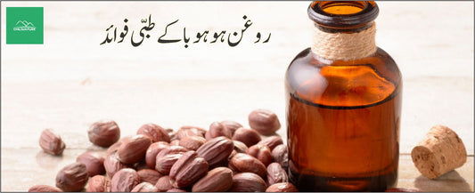 روغن ہو ہوبا کے طبی فوائد - ChiltanPure
