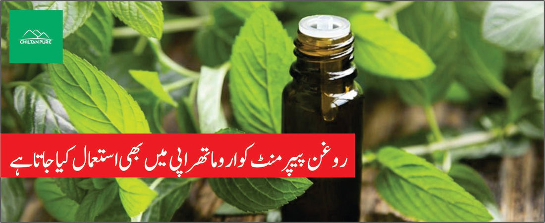 روغن پیپرمنٹ کے طبی فوائد - ChiltanPure