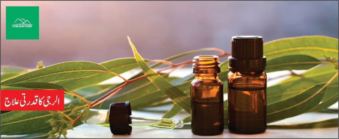روغن سفیدہ کے طبی فوائد - ChiltanPure