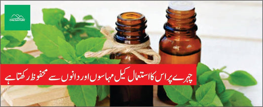 روغن تلسی کے طبی فوائد - ChiltanPure