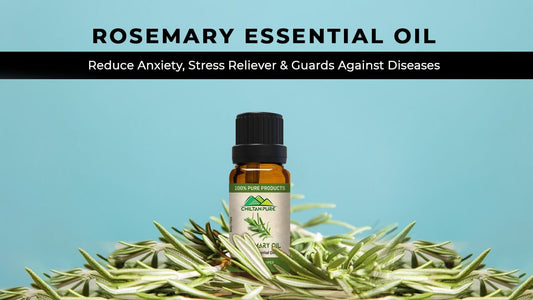 Rosemary Essential Oil - Reduce Anxiety, Stress Reliever &amp; Guards Against Diseases - ChiltanPure