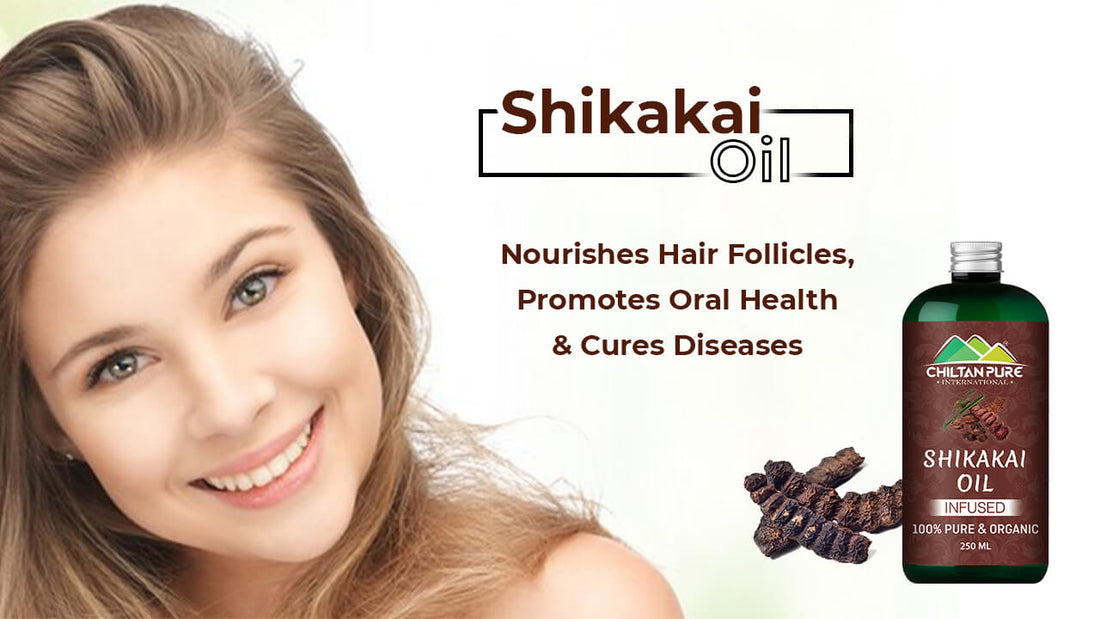 Shikakai Oil - Nourishes Hair Follicles, Promotes Oral Health &amp; Cures Diseases - ChiltanPure