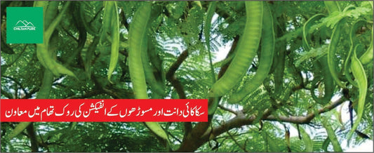 سکاکائی پودے کے طبی فوائد - ChiltanPure