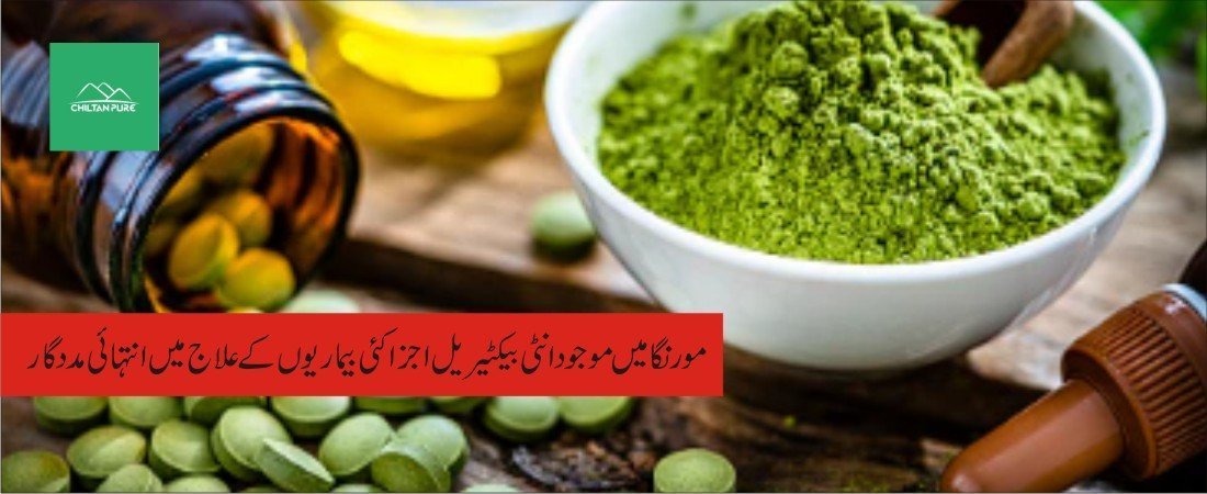 سوہانجنا پودے کے طبی فوائد - ChiltanPure